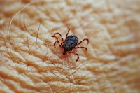 Zdroj: Isifa/Thinkstock